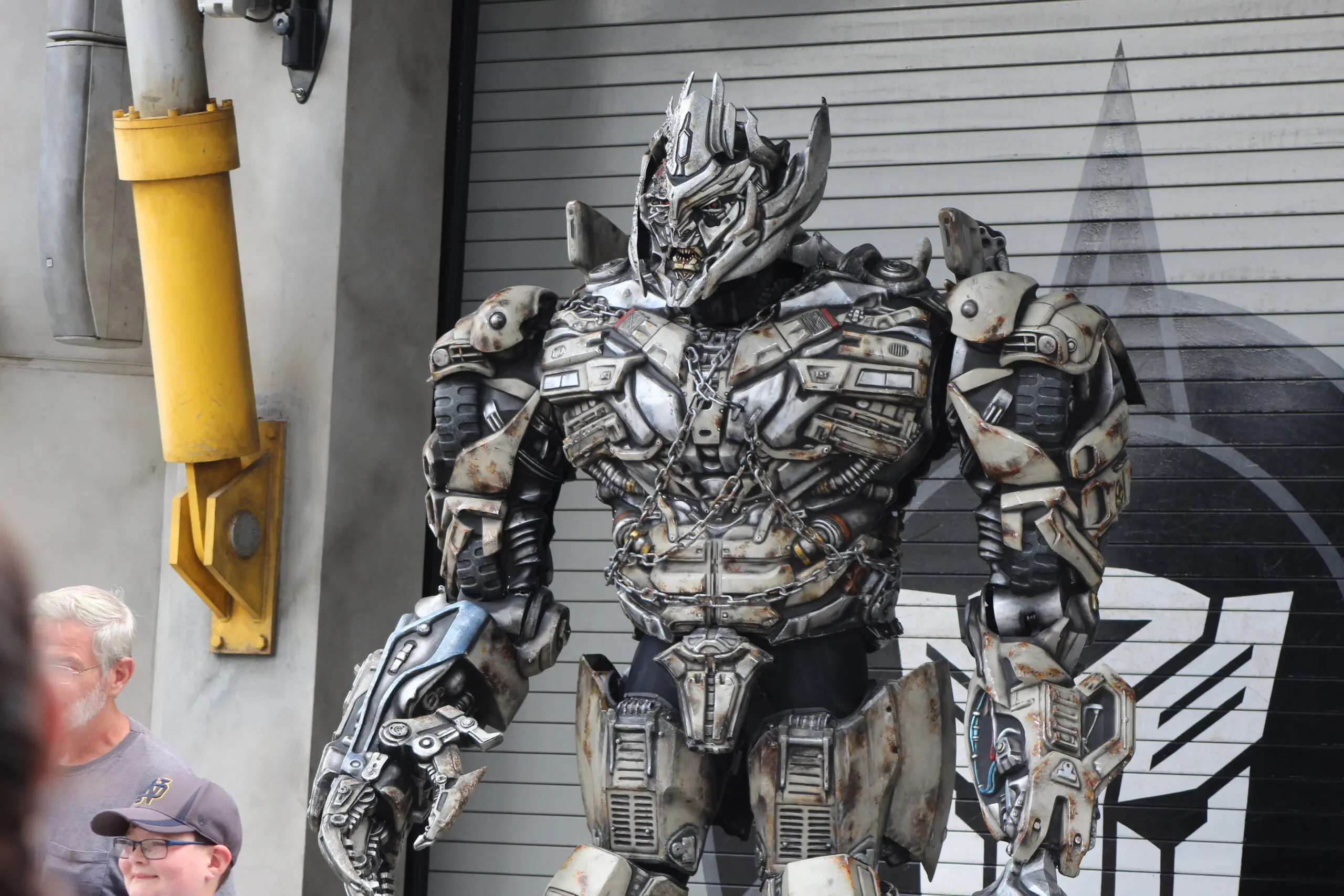 Megatron Posing for camera